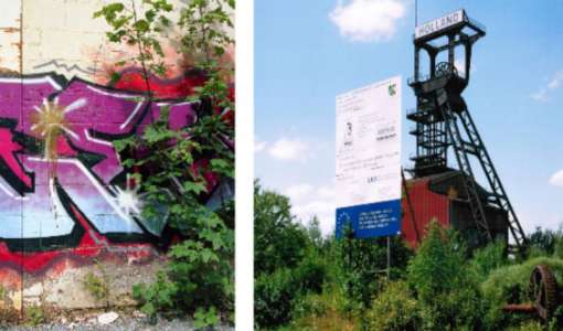 Grüne Gleise – Erlebte Naturräume in Industriegebieten