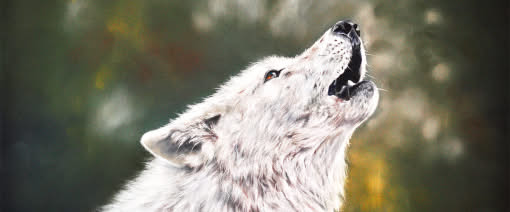 Wildlife in Pastell