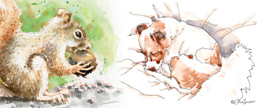 Tierische Skizzen – Tiere in Mixed Media