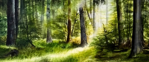Ausdruckstarke Landschaftsaquarelle - Licht sehen, Atmosphäre malen