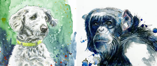 Tierportraits in Mixed Media